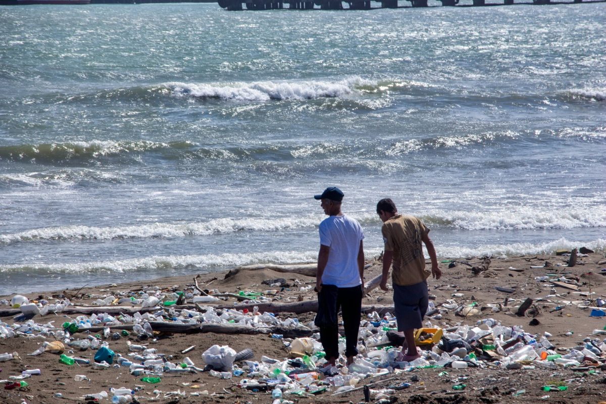 10 things you can do today to protect the earth (an image of plastic pollution on a beach)