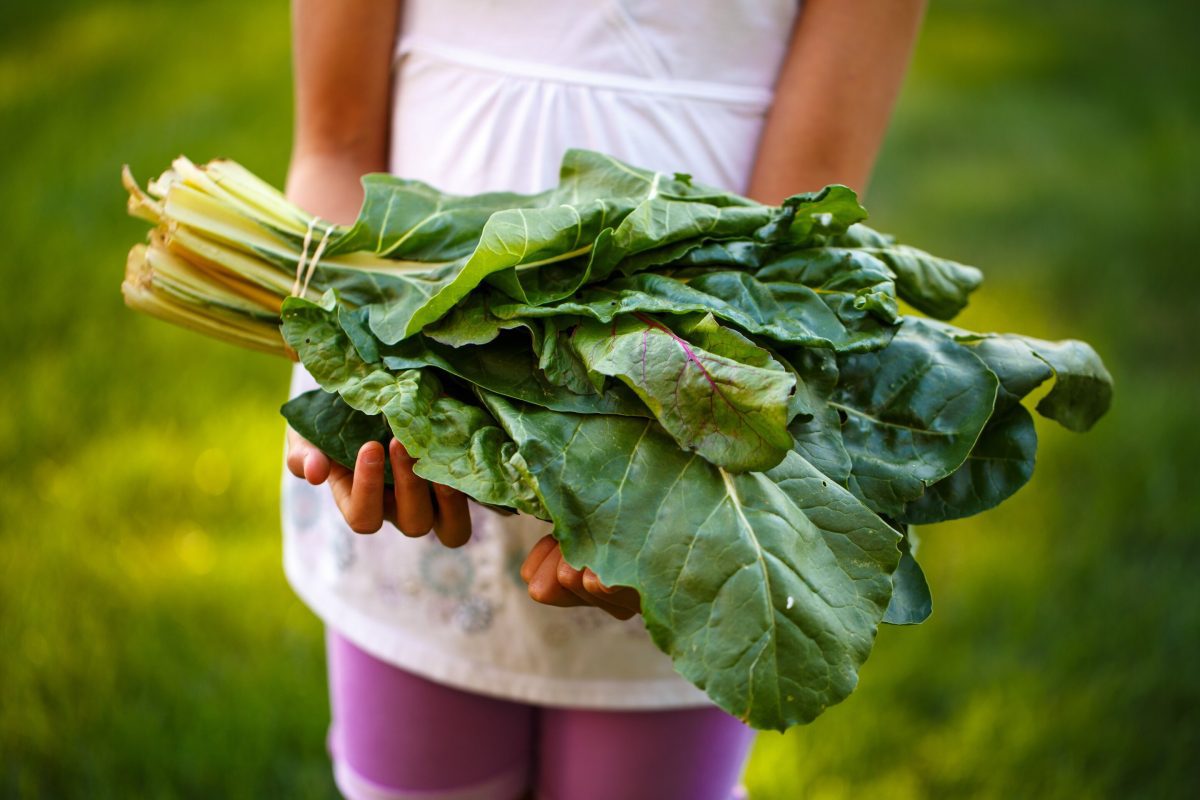 An image of a young girl holding spinach